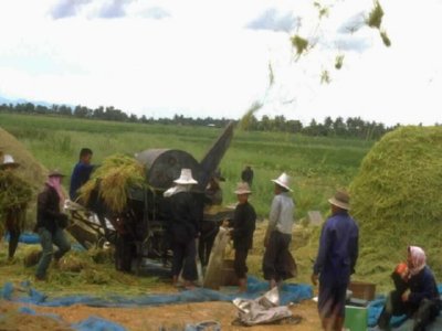 SIEGA (2)  CAMPESINOS